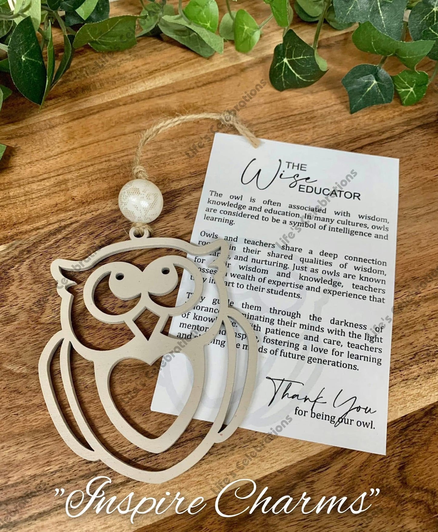 Wise Educator Inspire Charm